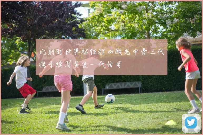 比利时世界杯征程回顾老中青三代携手续写黄金一代传奇
