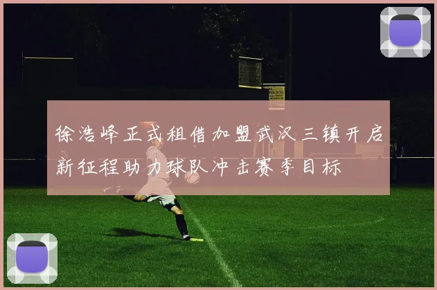 徐浩峰正式租借加盟武汉三镇开启新征程助力球队冲击赛季目标