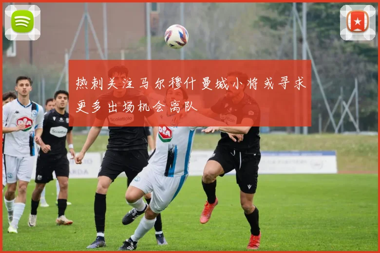 热刺关注马尔穆什曼城小将或寻求更多出场机会离队