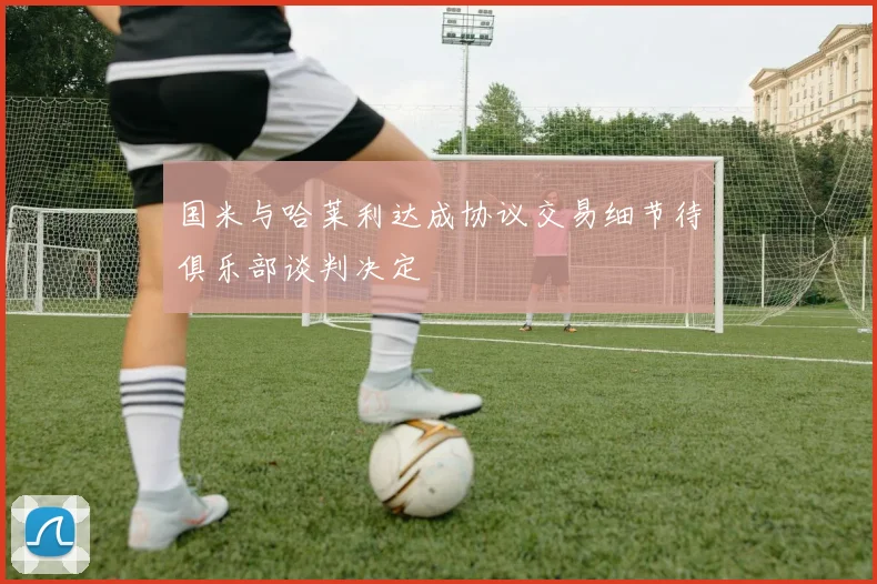 国米与哈莱利达成协议交易细节待俱乐部谈判决定